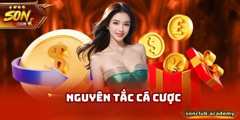 Điều Khoản Điều Kiện Sonclub - Hiểu Rõ 4 Quy Định Quan Trọng 3 Những quy định liên quan đến hoạt động tham gia sân chơi
